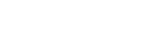 LMX Touristik