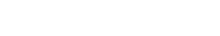 TRAVELIX