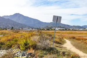 Dirt path through dry marshland towards a mountain