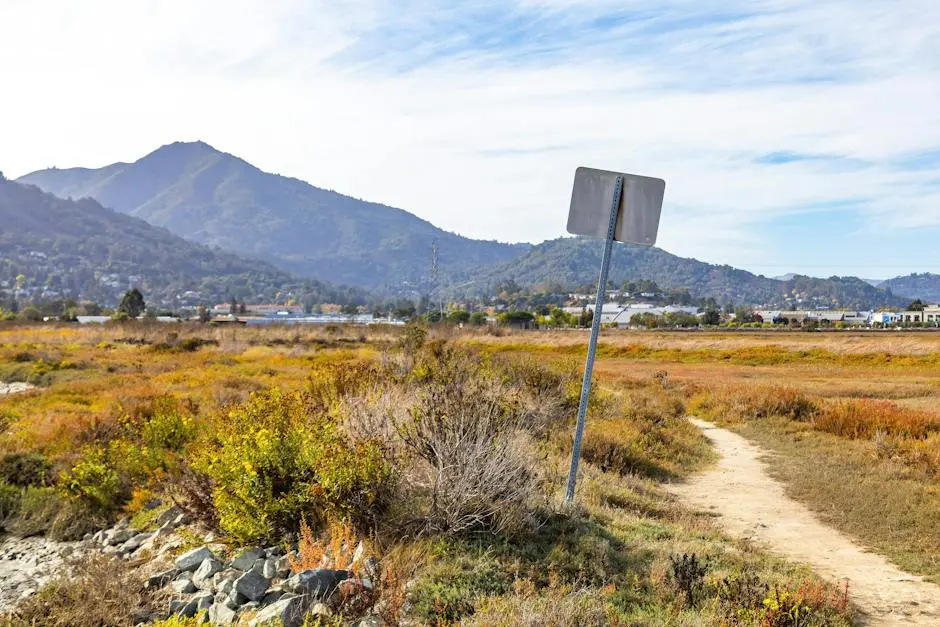 Dirt path through dry marshland towards a mountain