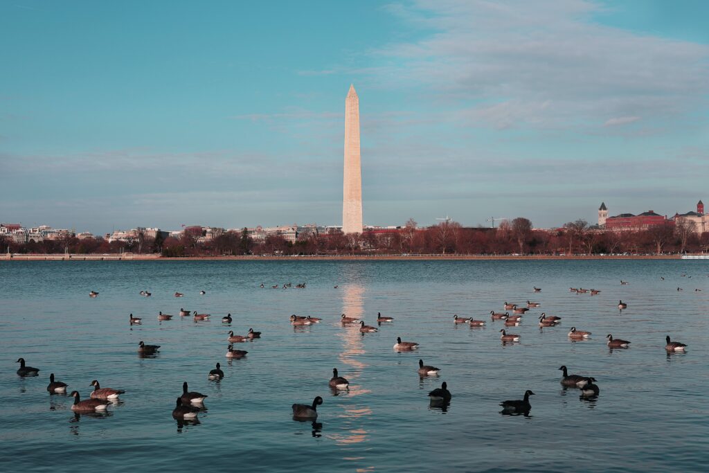 Discover Washington DC the Beautiful