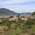 Mallorcan village among trees below the Tramuntana mountains