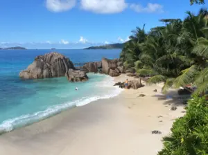 Beach with granite rocks and palm trees in the Seychelles