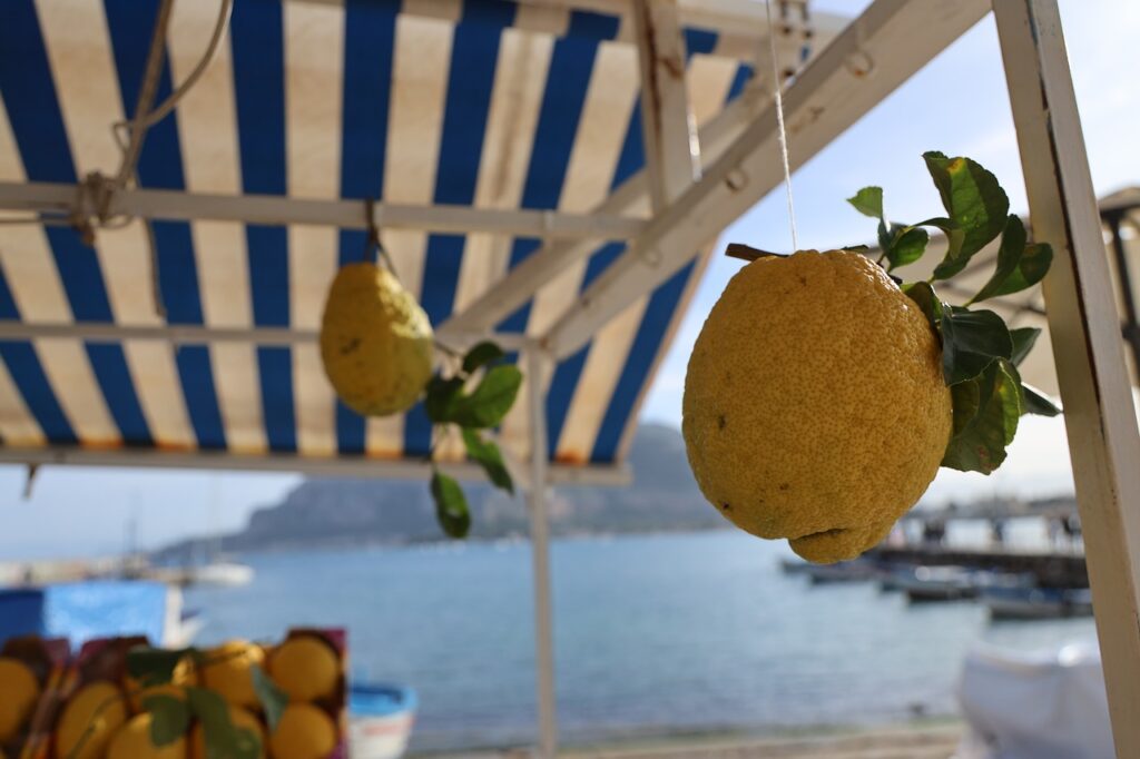 Lemons at a market in Palermo, Sicily