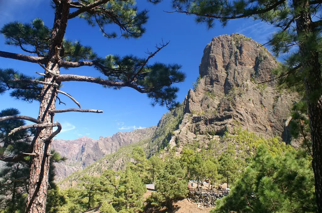 Berglandschaft mit Natur auf La Palma, Kanarische Inseln