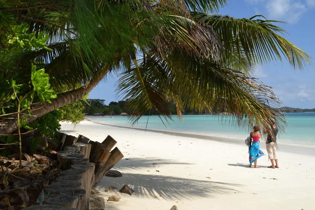 Palmenstrand auf Praslin, Seychellen