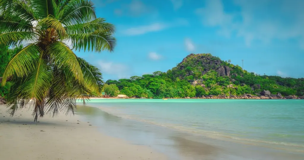 Sandstrand mit Palmen auf Praslin auf den Seychellen